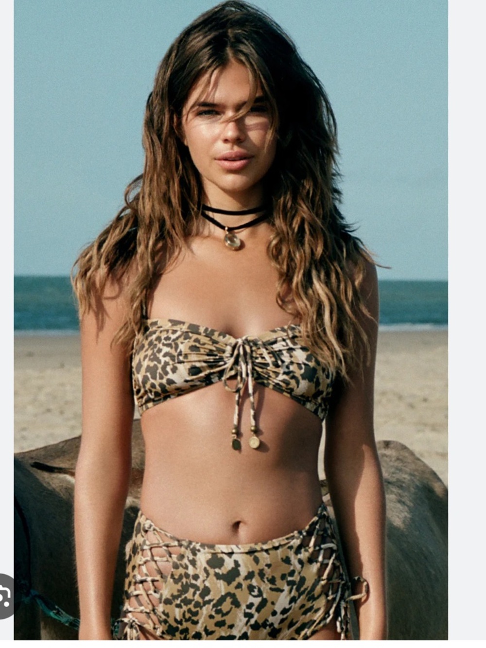 Spell and the gypsy collective belle mare leopard print bikini size S - Picture 4 of 11